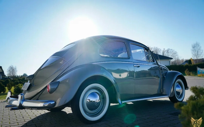 Volkswagen Garbus cena 179000 przebieg: 73845, rok produkcji 1956 z Ostrzeszów małe 742